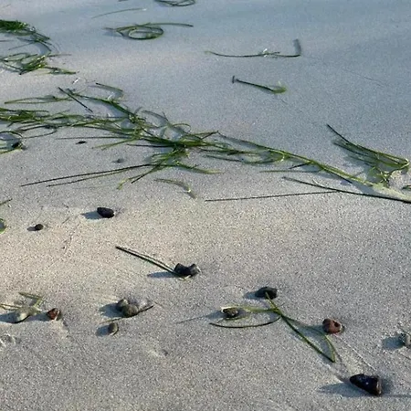 Apartment Kapitänskajüte Am Bakenberg- D21 Dranske