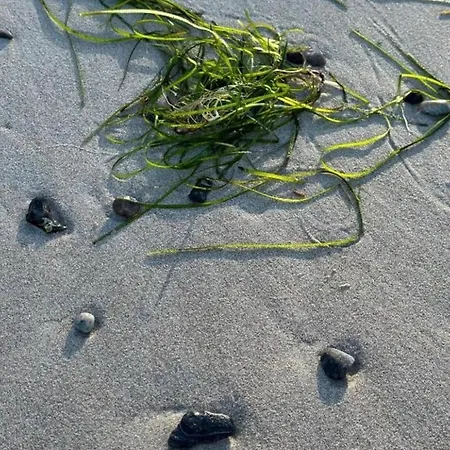 Kapitänskajüte Am Bakenberg- D21 Dranske